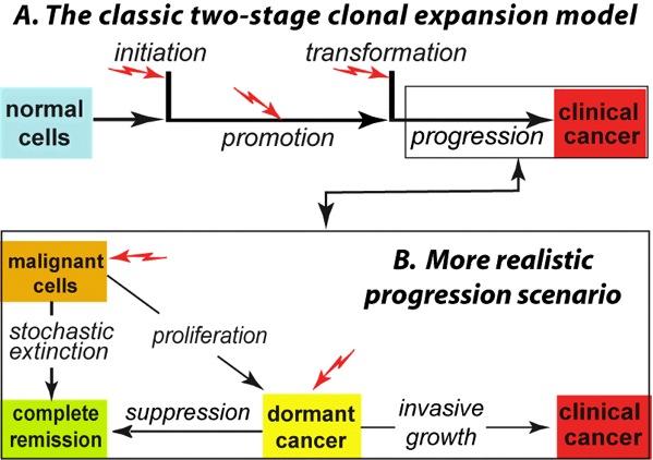 dormancy_timeline_paradigm