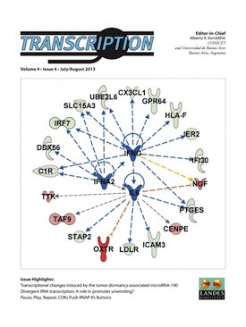 July/August 2013 Transcription journal cover